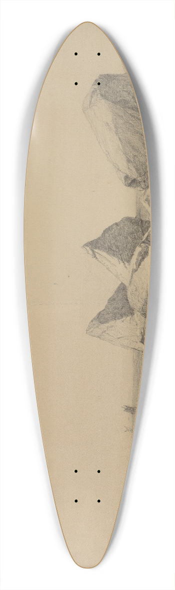 James Renwick Brevoort - Gloucester, Massachusetts 39.3 inch art pintail longboard deck