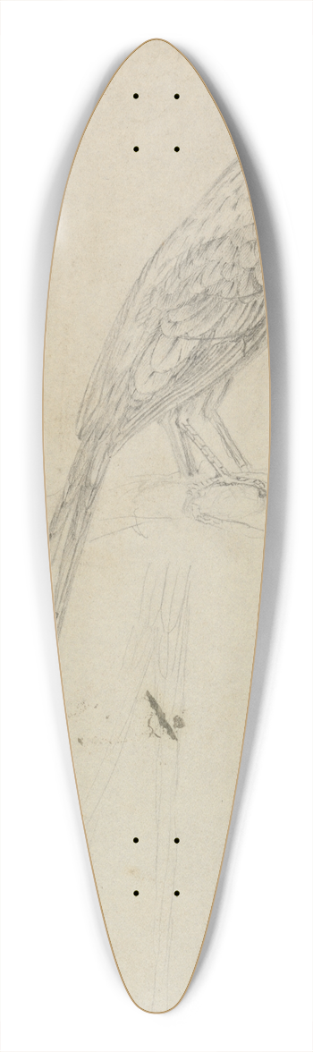 James Sowerby - A Bird 39.3 inch art pintail longboard deck