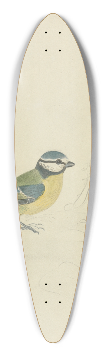 James Sowerby - A Blue Tit 39.3 inch art pintail longboard deck