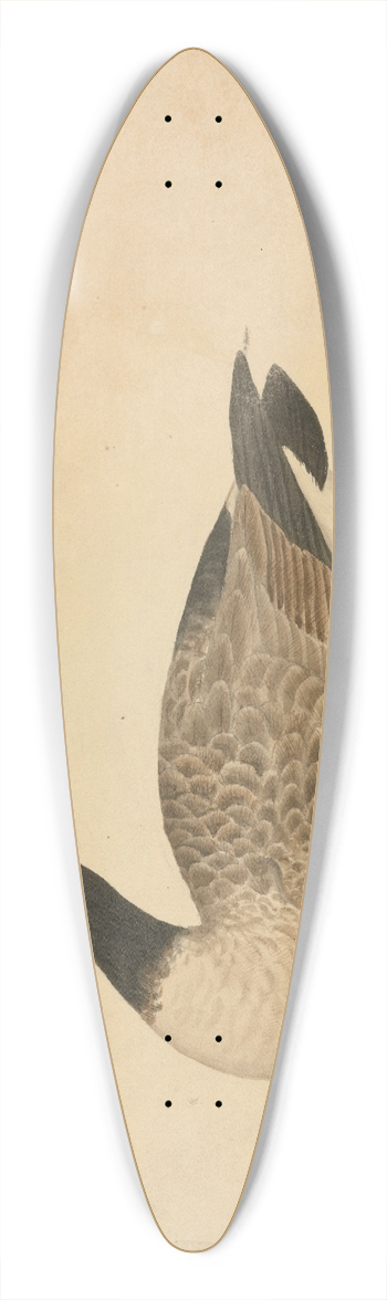 James Sowerby - A Goose 39.3 inch art pintail longboard deck