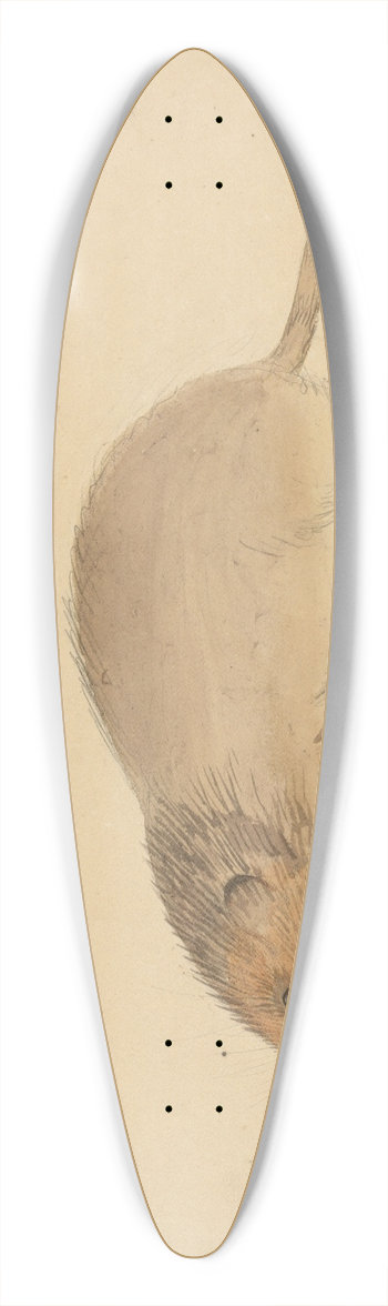 James Sowerby - A Vole 39.3 inch art pintail longboard deck