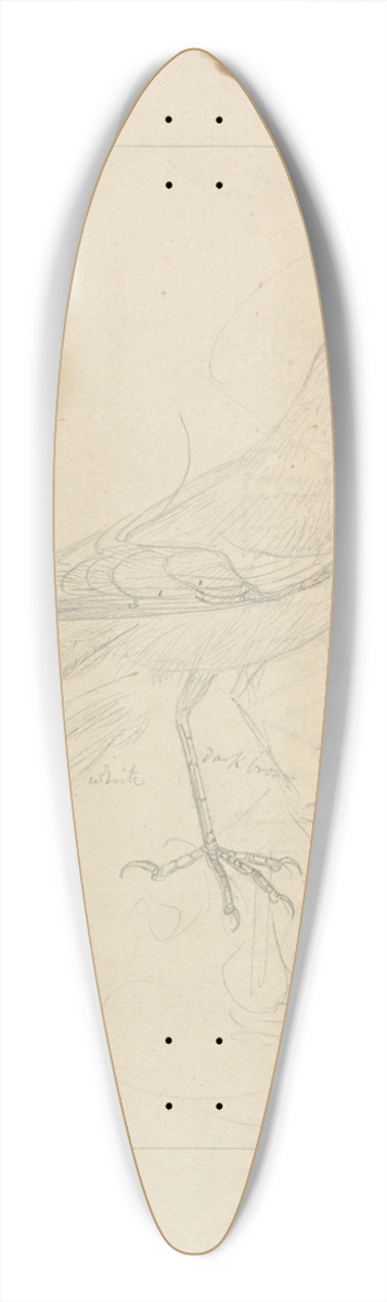 James Sowerby - A Wren 39.3 inch art pintail longboard deck