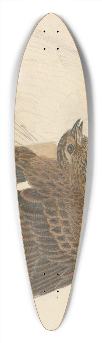 James Sowerby - Eurasian skylark. 39.3 inch art pintail longboard deck
