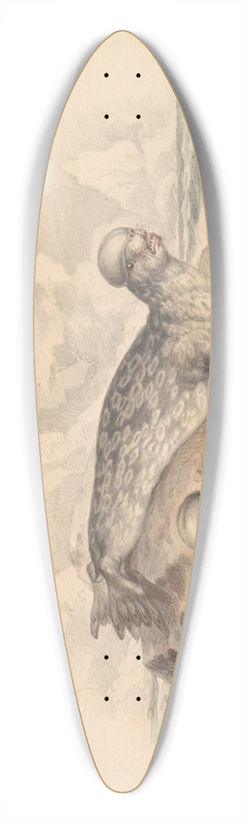 James Stewart - The Crested Seal 39.3 inch art pintail longboard deck