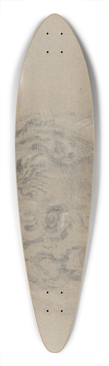 James Ward - Head of a Tiger 39.3 inch art pintail longboard deck
