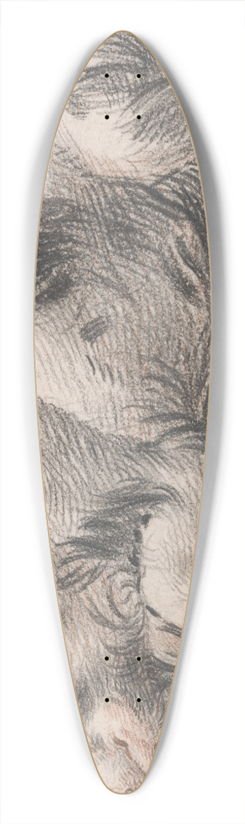 James Ward - Sleeping Pig 39.3 inch art pintail longboard deck