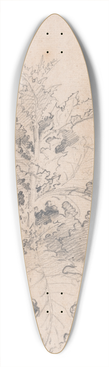 James Ward - Study of a Thistle 39.3 inch art pintail longboard deck