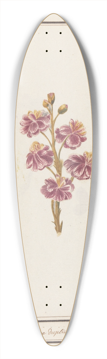 Jan Anton Garemyn - Muurbloem (Erysimum cheiri) 39.3 inch art pintail longboard deck