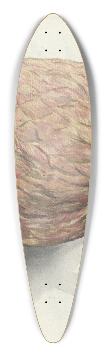 Jan Brandes - Boanonna of wilde serikaja 39.3 inch art pintail longboard deck