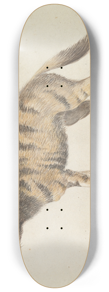 Charles Hamilton Smith - Aardwolf 8.25 inch art skate deck