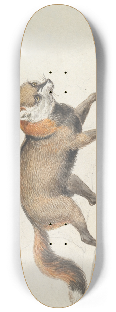 Charles Hamilton Smith - American Cross-Fox 8.25 inch art skate deck