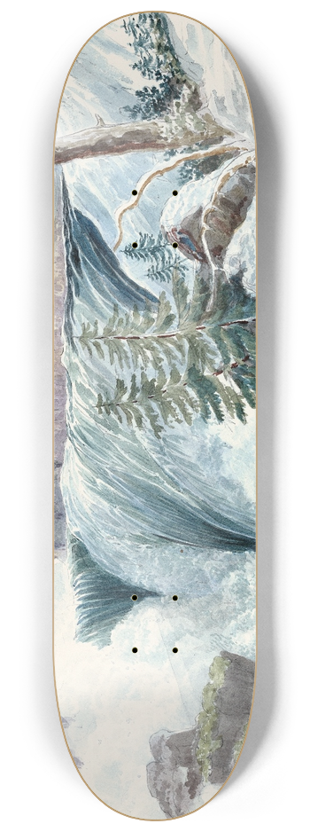 Charles Hamilton Smith - Andersons Fall, Haheldessa River 8.25 inch art skate deck