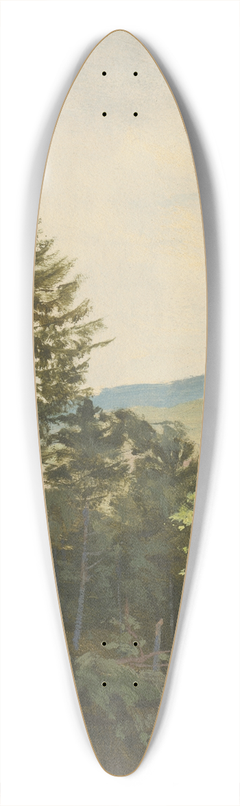 Jan Nowopack - Scrub Hill 39.3 inch art pintail longboard deck