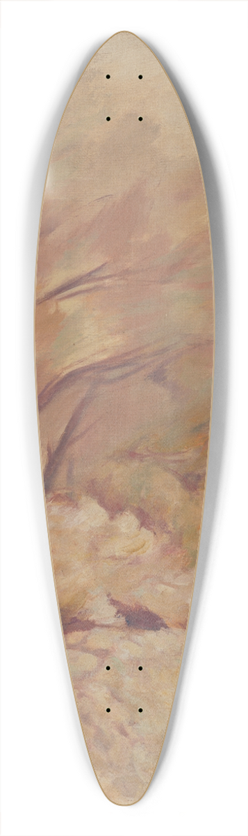 Jan Trampota - Trenches by Danube 39.3 inch art pintail longboard deck