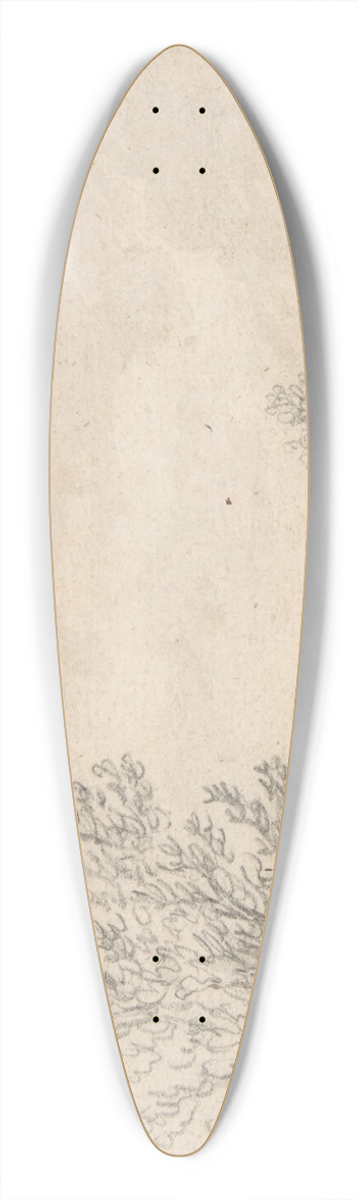 Jan van Goyen - Landscape 39.3 inch art pintail longboard deck