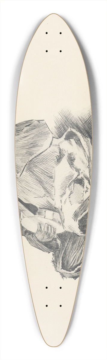 J. Campbel Phillips - In Dixie land. 39.3 inch art pintail longboard deck