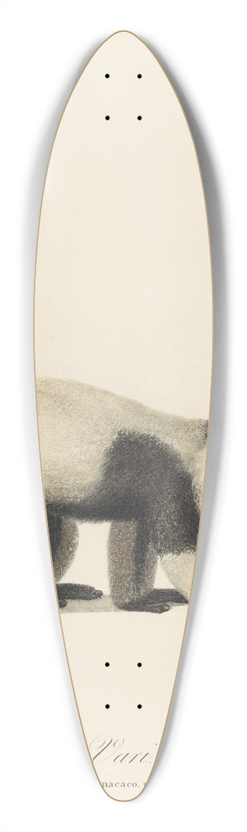 Jean-Baptiste Audebert - Le Vari 39.3 inch art pintail longboard deck