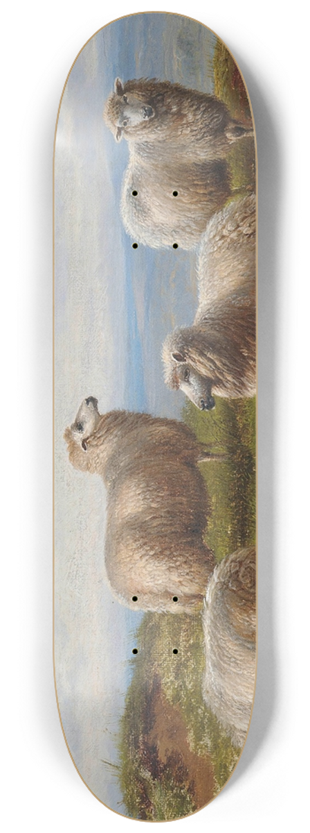 Charles Jones - Sheep on the hill 8.25 inch art skate deck