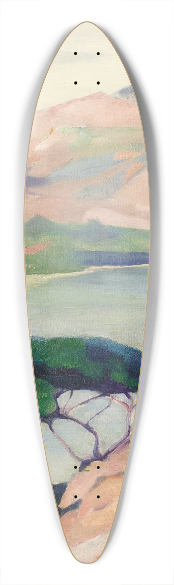 Jean Mannheim - Carmel Coast 39.3 inch art pintail longboard deck