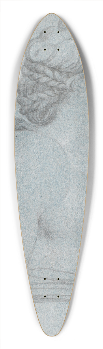 Jens Juel - Jupiter and Juno 39.3 inch art pintail longboard deck