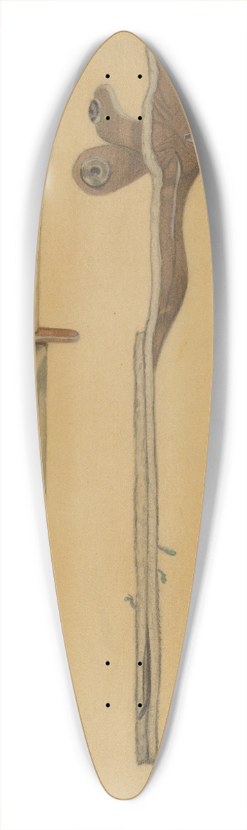 Jesse W. Skeen - Sheath Knife 39.3 inch art pintail longboard deck