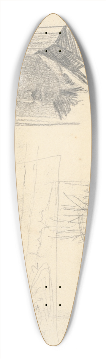 Jn Thain - Sketchbook 39.3 inch art pintail longboard deck