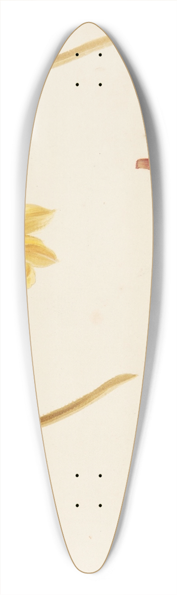 Johanna Fosie - Studie af blomster og lg 39.3 inch art pintail longboard deck