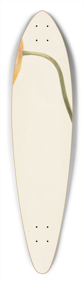 Johanna Fosie - Studie af gul tulipan 39.3 inch art pintail longboard deck