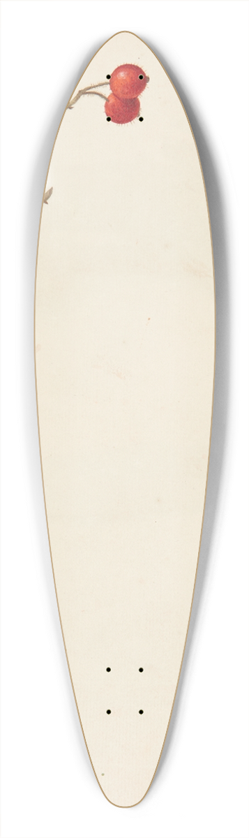 Johanna Fosie - Studie af hyben og stedmoderblomst 39.3 inch art pintail longboard deck