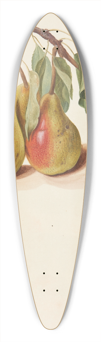 Johanna Fosie - Studie af prer 39.3 inch art pintail longboard deck