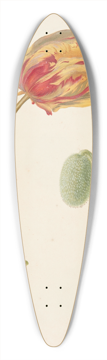 Johanna Fosie - Studie af tulipan og andre blomster 39.3 inch art pintail longboard deck