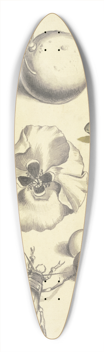 Johann Daniel Bager - Studienblatt mit einer Mohnblume, Pflaumen, Kirschen, zwei Kfern, einer Fliege, einer Biene und einem Frosch 39.3 inch art pintail longboard deck