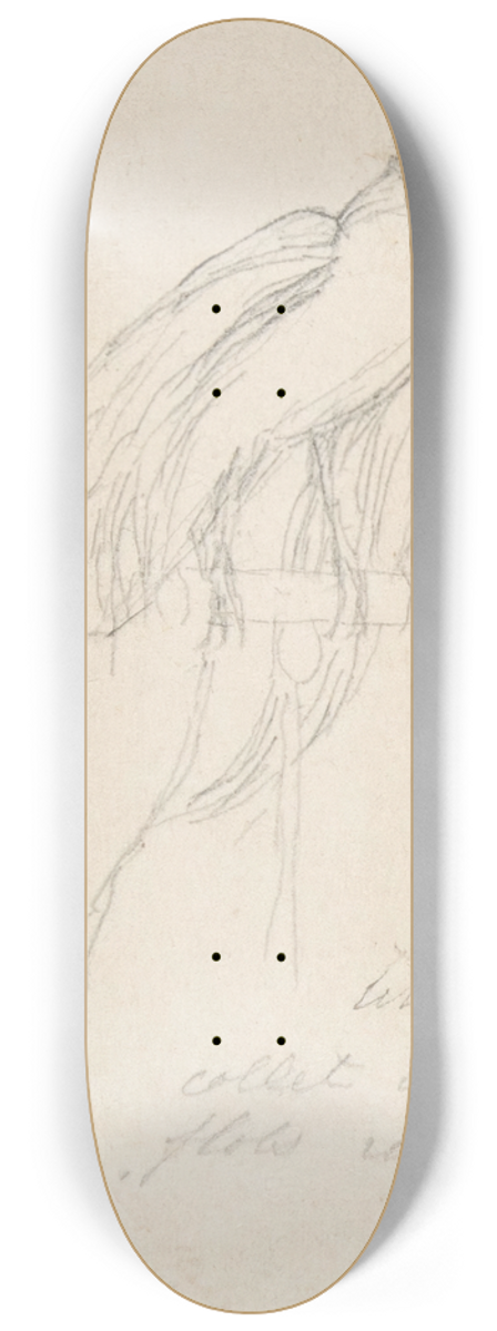 Charles Meryon - A Bird of Paradise 8.25 inch art skate deck