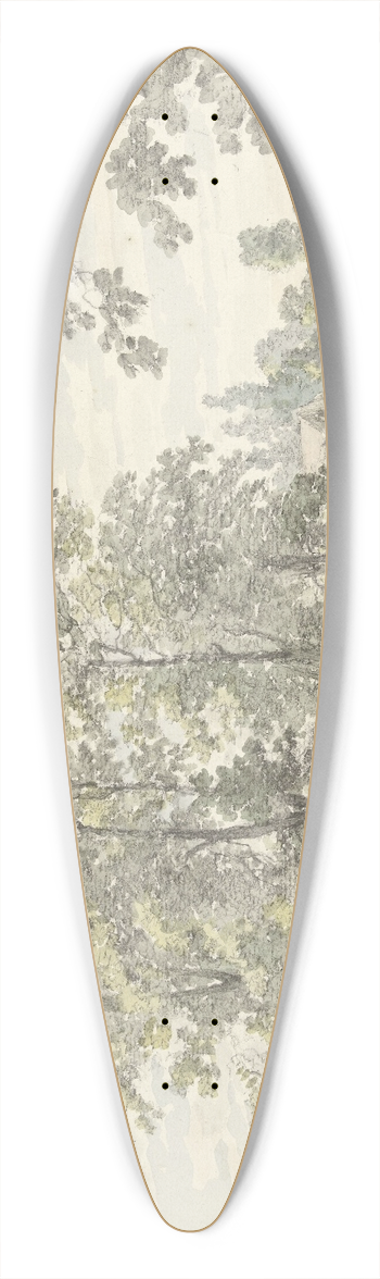 Johannes Jelgerhuis - Gezicht op de Biltstraat buiten Utrecht 39.3 inch art pintail longboard deck