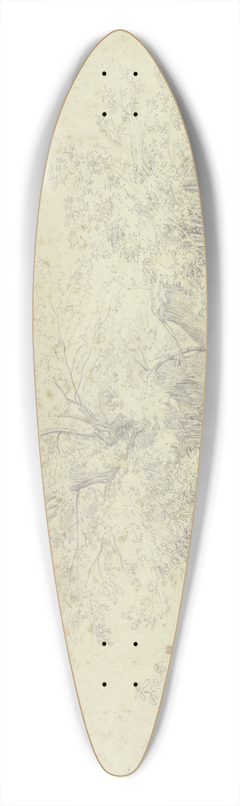 Johannes Thomas - Vegetation picture 39.3 inch art pintail longboard deck