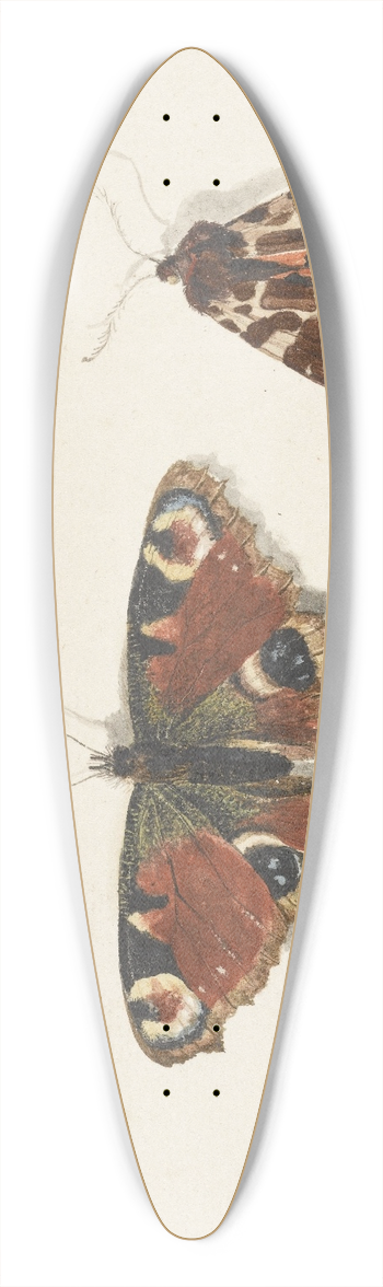 Johannes van Bronckhorst - Butterfly, Moth and Bumblebee 39.3 inch art pintail longboard deck