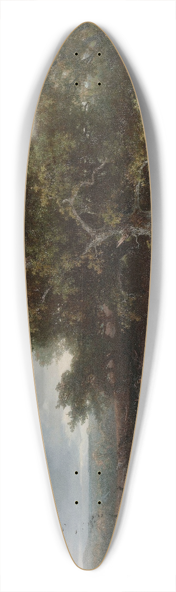 Johannes Wernardus Bilders - The Heath near Wolfheze 39.3 inch art pintail longboard deck