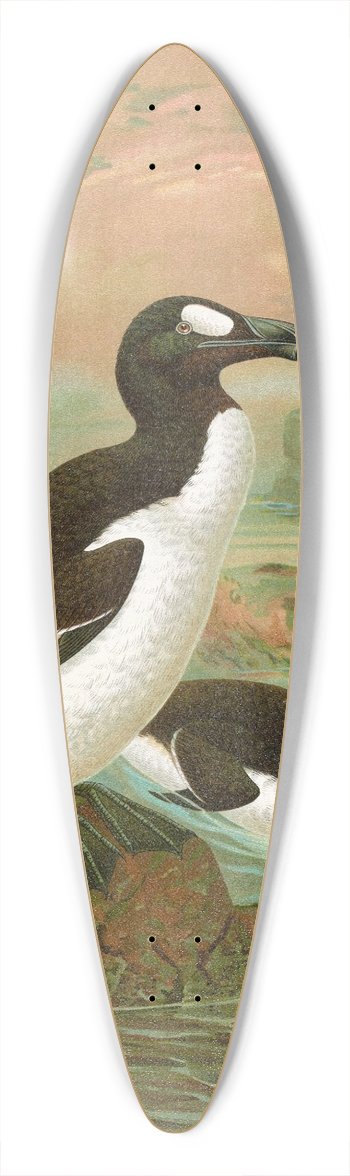 Johann Friedrich Naumann - Alca impennis L., Riesenalk 39.3 inch art pintail longboard deck