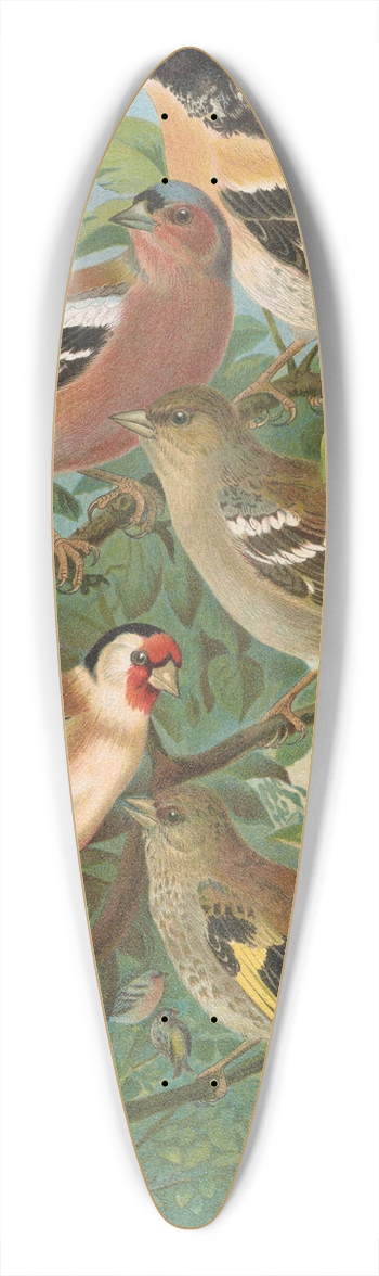 Johann Friedrich Naumann - Fringilla montifringilla, Fringilla coelebs, Carduelis carduelis 39.3 inch art pintail longboard deck