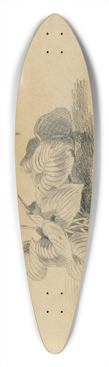 Johann Peter Krafft - Studie einer Blattpflanze 39.3 inch art pintail longboard deck