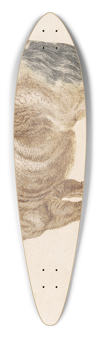 Johann Teyler - The Neighing Horse 39.3 inch art pintail longboard deck