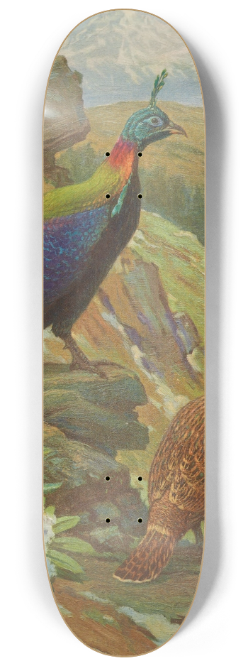 Charles Robert Knight - Himalayan Impeyan Pheasant 8.25 inch art skate deck