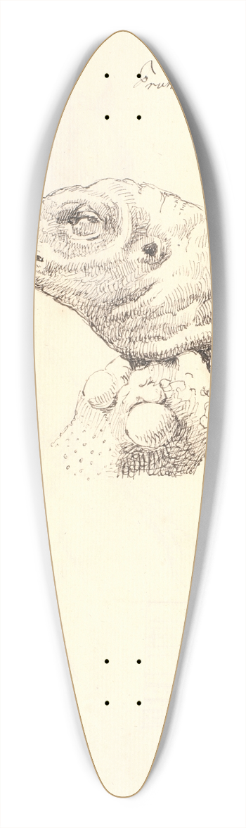 Johan Thomas Lundbye - Hovede af en dd kalkunhne 39.3 inch art pintail longboard deck