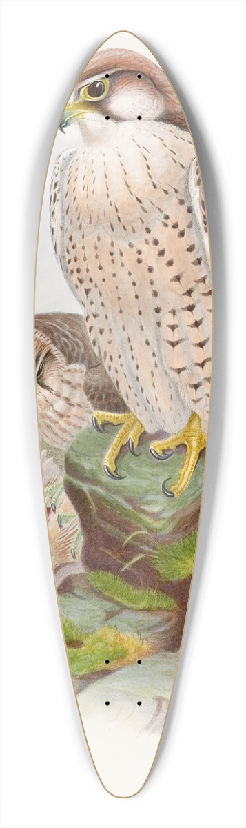 John Gould - Lanner Falcon 39.3 inch art pintail longboard deck