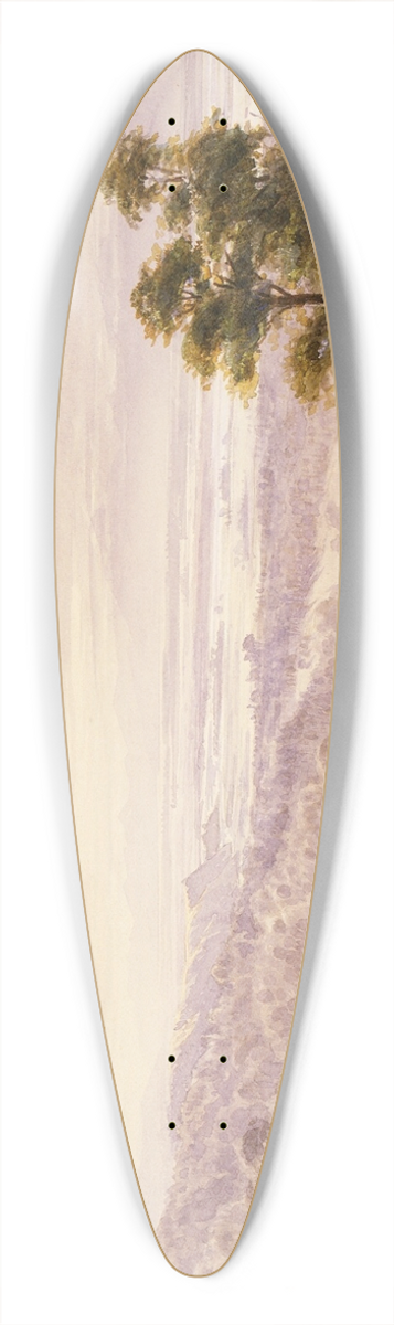 John Gully - Landscape [Waimea Plains, Nelson] 39.3 inch art pintail longboard deck