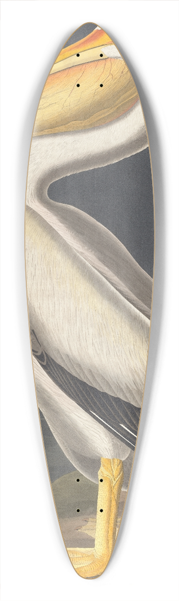 John James Audubon - American white pelican 39.3 inch art pintail longboard deck