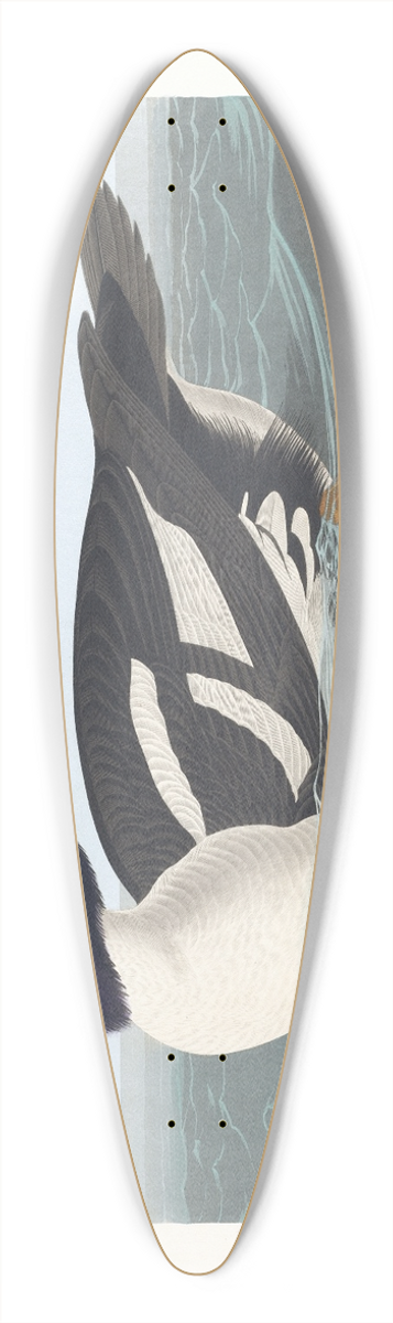 John James Audubon - Golden-eye duck 39.3 inch art pintail longboard deck