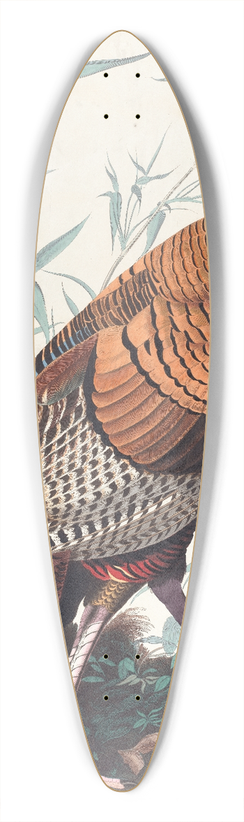 John James Audubon - Great American cock 39.3 inch art pintail longboard deck