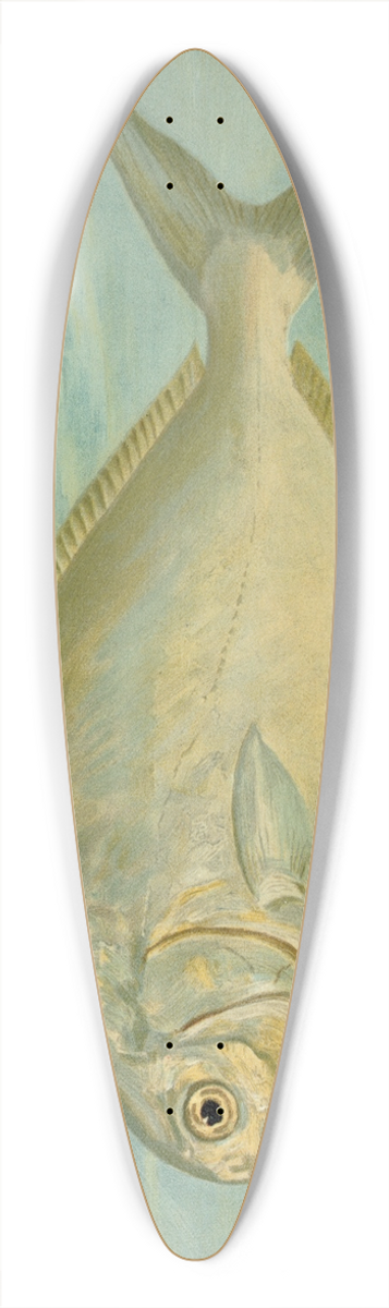 John L. Petrie - The Pompano, Trachinotus carolinis. 39.3 inch art pintail longboard deck