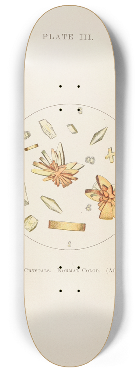 Charles Wesley Purdy - Plate III: Uric-Acid Crystals (Normal Color) 8.25 inch art skate deck